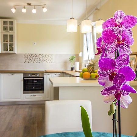 Apartman Maxim Daire Pula Dış mekan fotoğraf